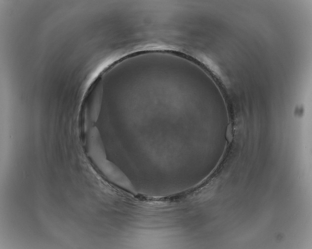 X0000091061173200708061236