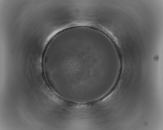 X0000091061174200708061236