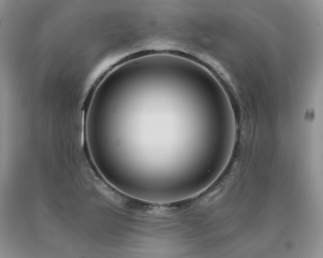 X0000091061175200708061236