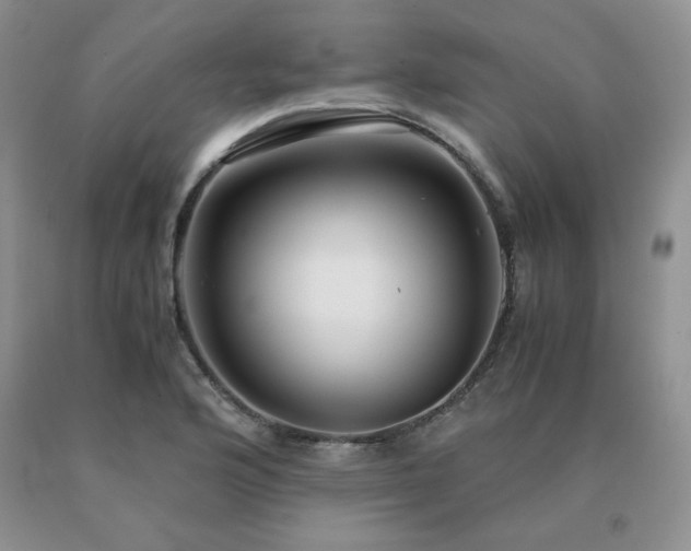 X0000091061176200708061236