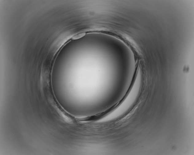 X0000091061177200708061236