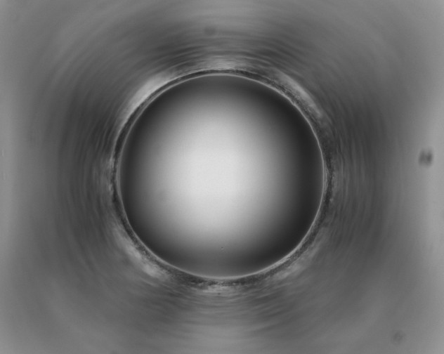 X0000091061178200708061236