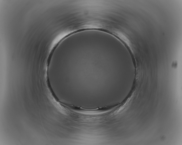 X0000091061179200708061236
