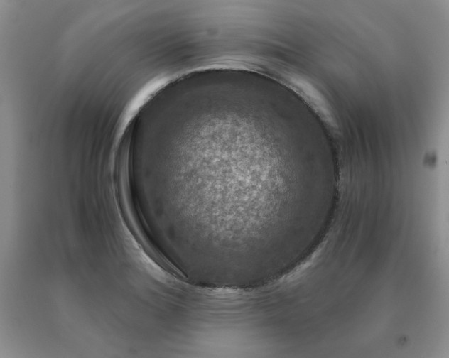 X0000091061180200708061236