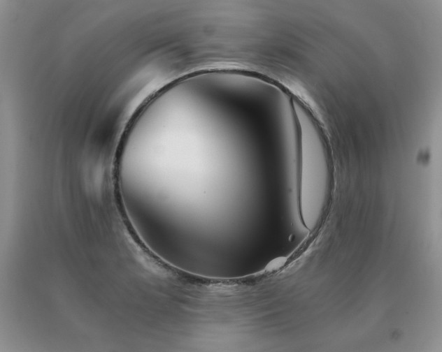 X0000091061181200708061236