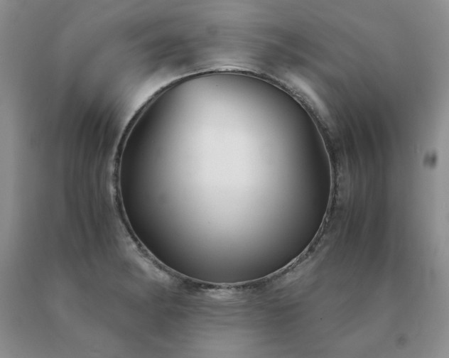 X0000091061182200708061236