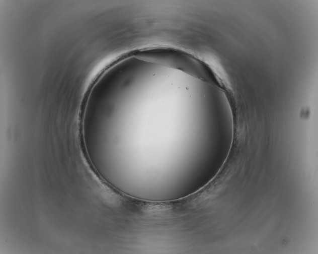 X0000091061183200708061236