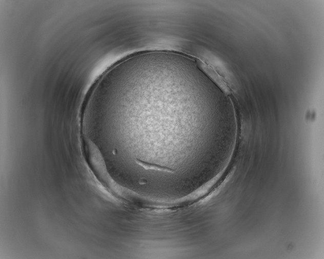 X0000091061184200708061236