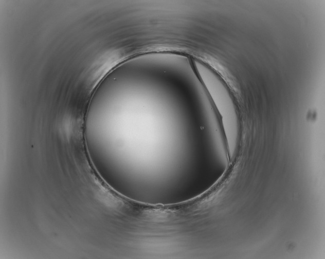 X0000091061185200708061236