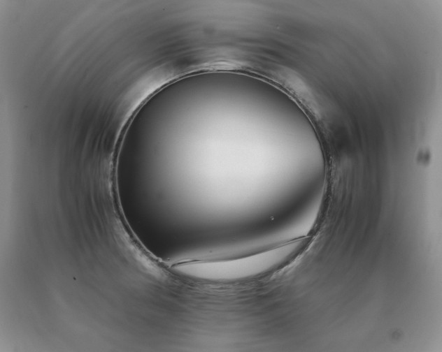 X0000091061186200708061236