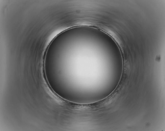 X0000091061187200708061236