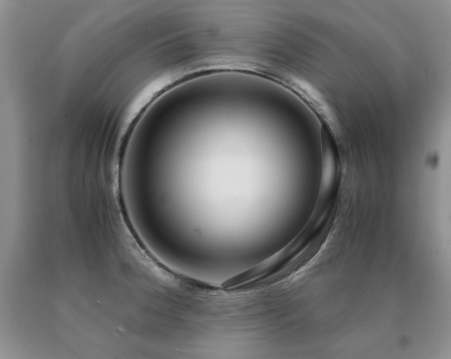 X0000091061188200708061236