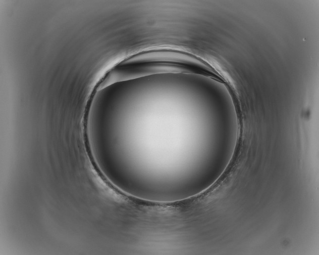 X0000091061189200708061236
