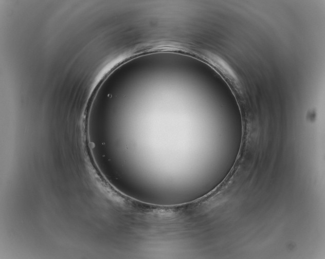 X0000091061190200708061236