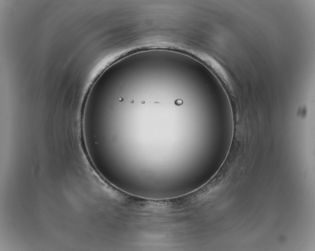 X0000091061191200708061236
