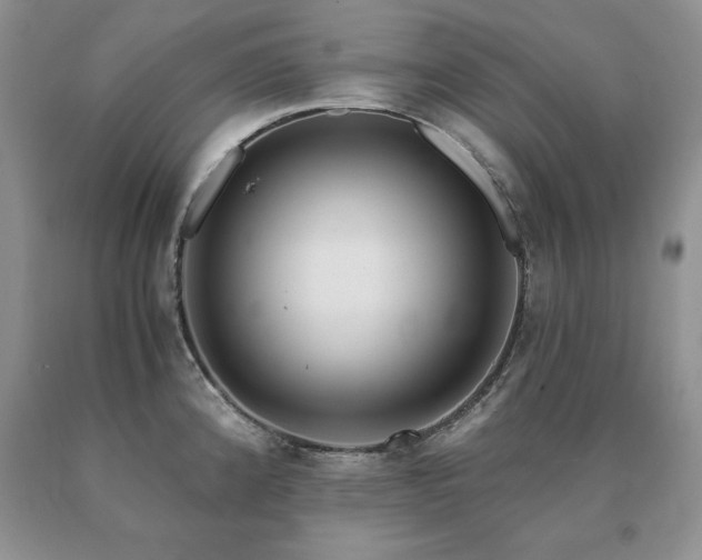 X0000091061192200708061236