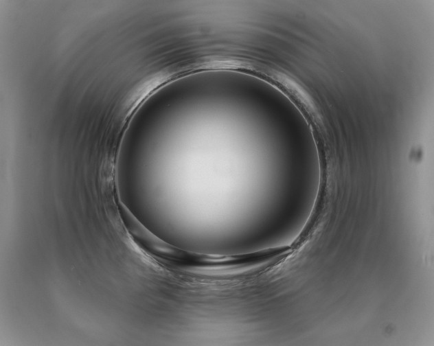 X0000091061193200708061236