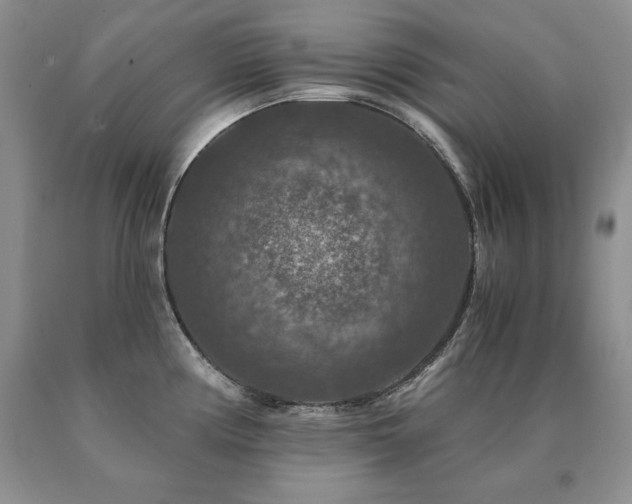 X0000091061194200708061236