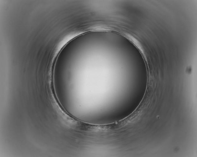 X0000091061195200708061236