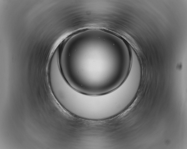 X0000091061196200708061236