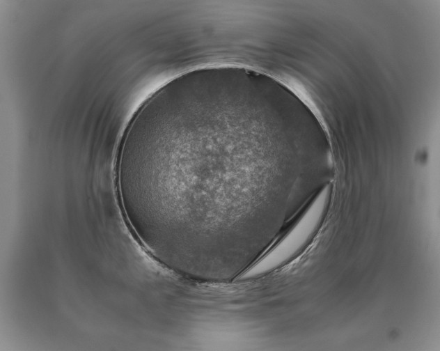 X0000091061197200708061236