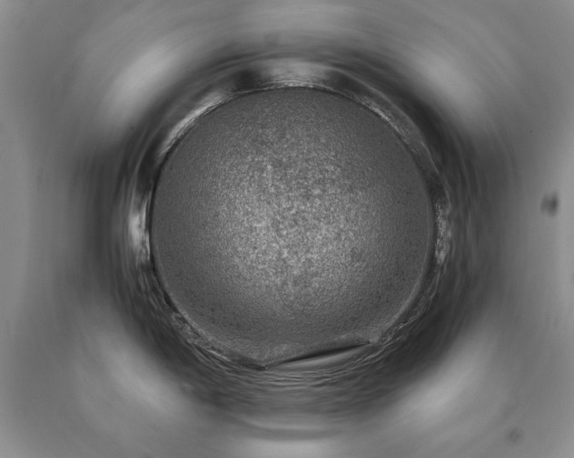 X0000091061198200708061236