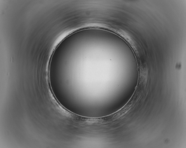 X0000091061199200708061236