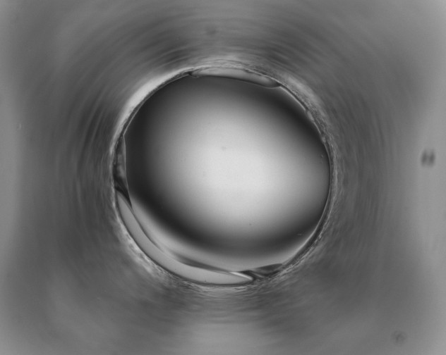 X0000091061200200708061236