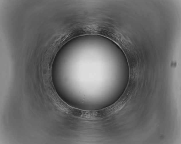 X0000091061201200708061235