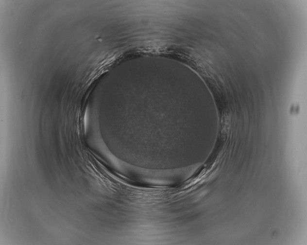 X0000091061202200708061235