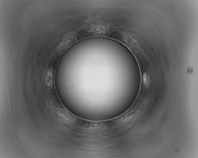 X0000091061203200708061235