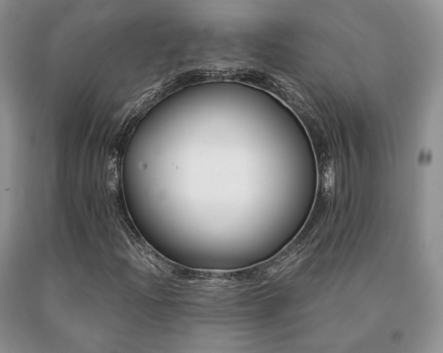 X0000091061204200708061235