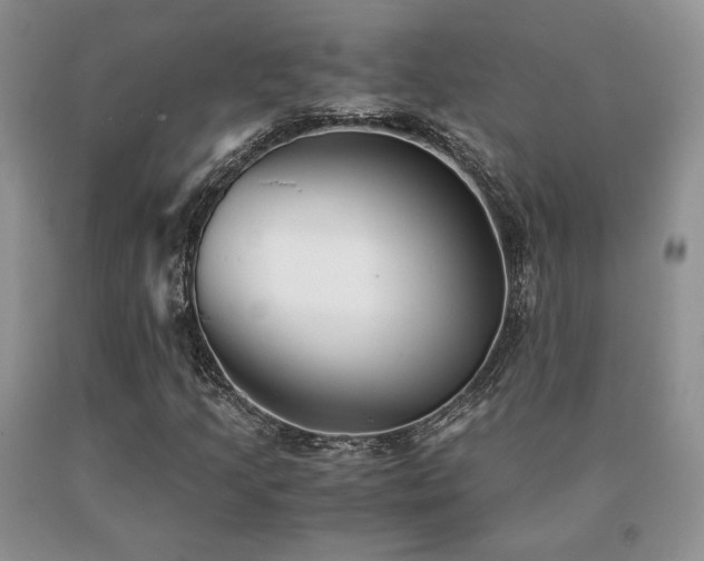 X0000091061205200708061235