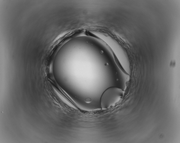 X0000091061206200708061235