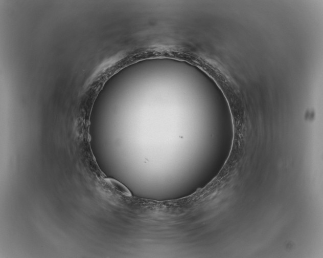 X0000091061207200708061235