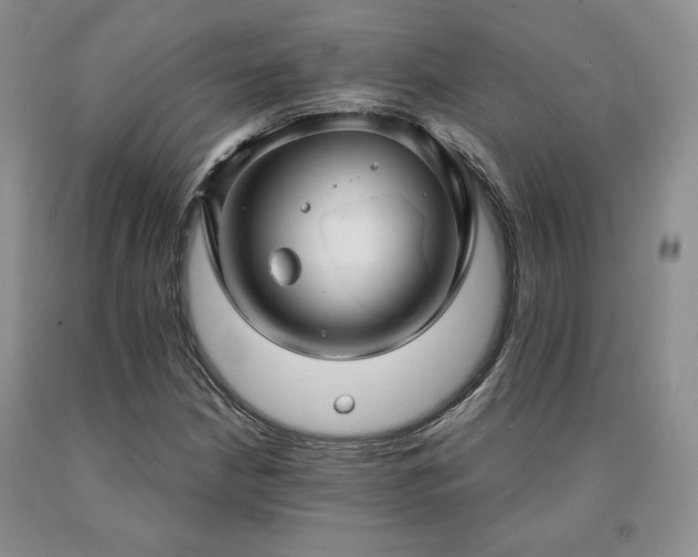 X0000091061210200708061235