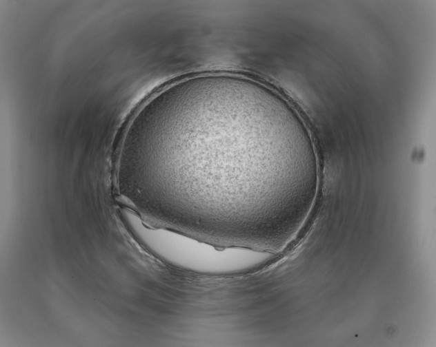 X0000091061212200708061235