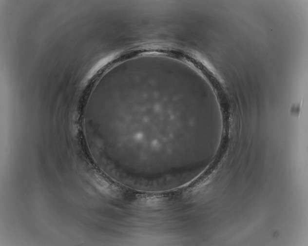 X0000091061213200708061235