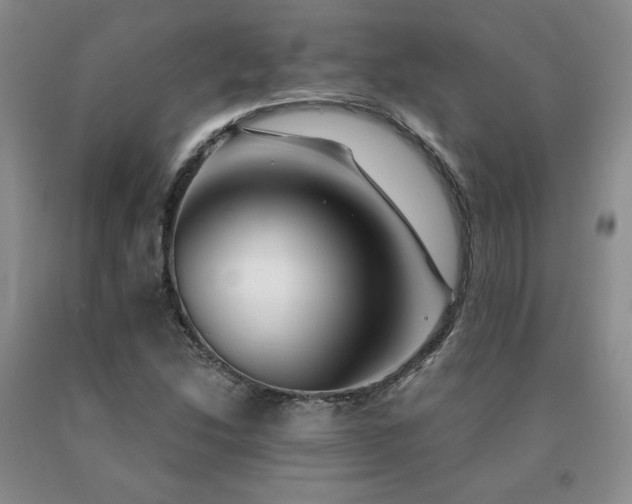 X0000091061214200708061235
