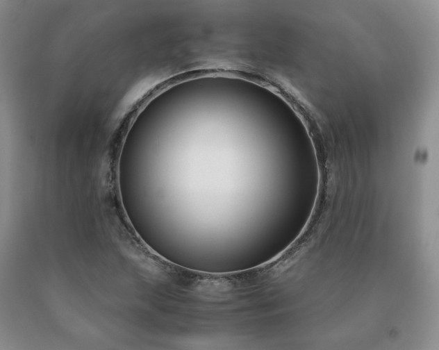 X0000091061215200708061235