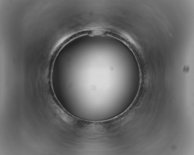 X0000091061216200708061235