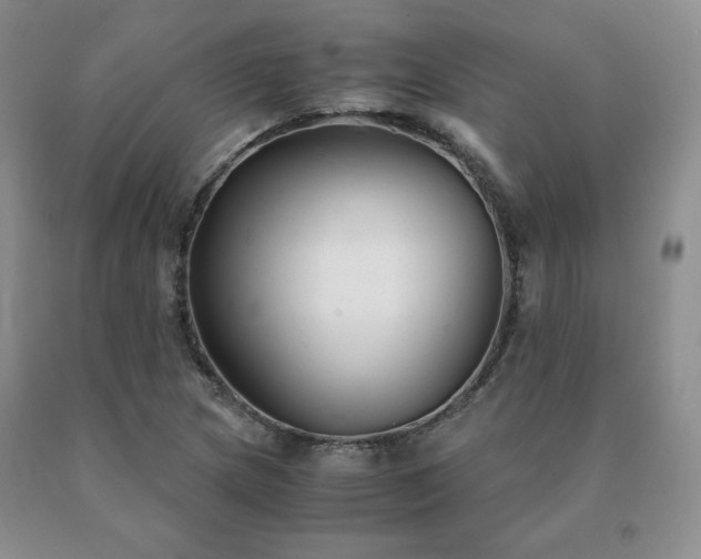 X0000091061217200708061235