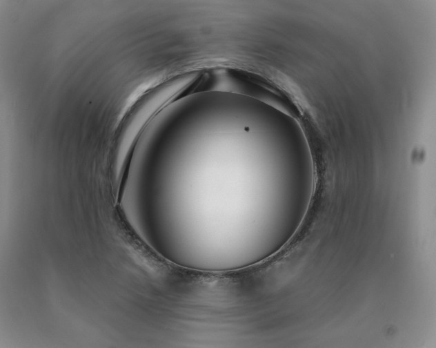 X0000091061218200708061235