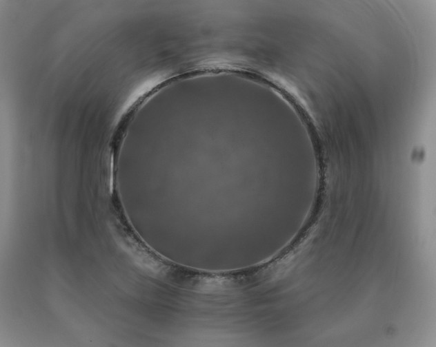 X0000091061219200708061235