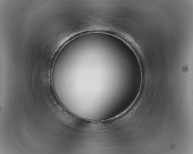 X0000091061220200708061235