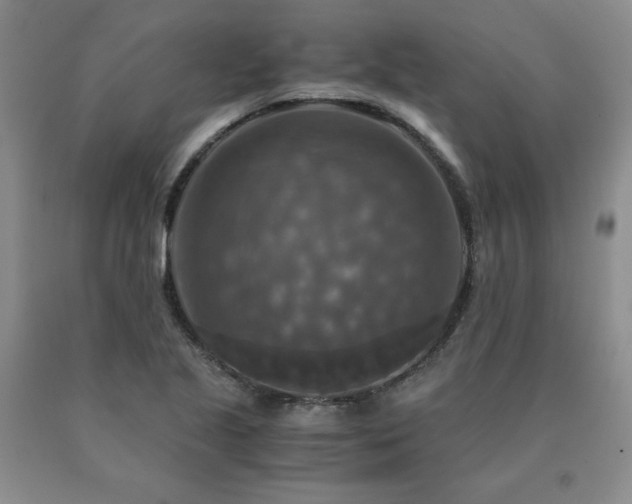 X0000091061221200708061235