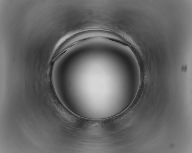 X0000091061222200708061235