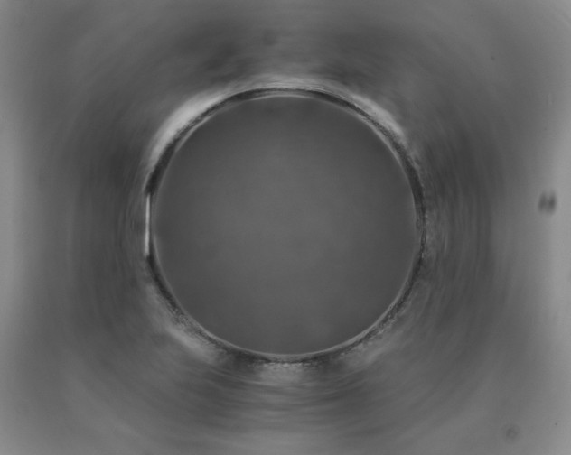 X0000091061223200708061235