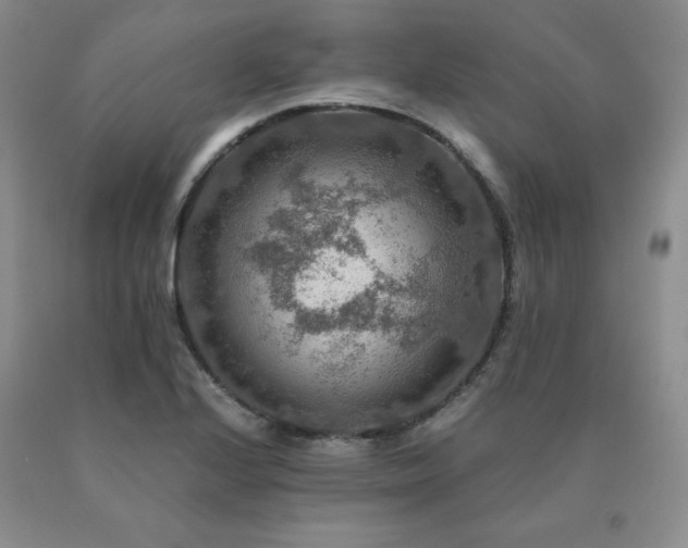 X0000091061224200708061235