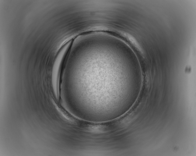 X0000091061225200708061235